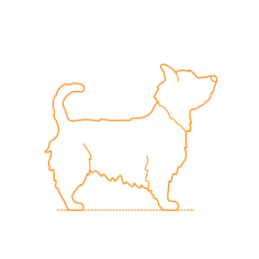 Animals Dogs Australian Terrier Vinyl Svg File, Free Vectors File